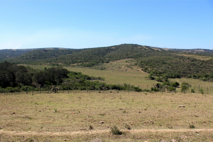 Commercial Property for Sale in Komga Rural Eastern Cape